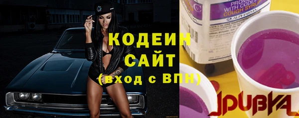 стафф Коряжма