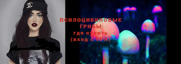 мяу мяу мука Козельск