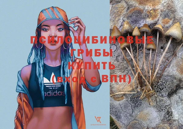 мяу мяу мука Козельск