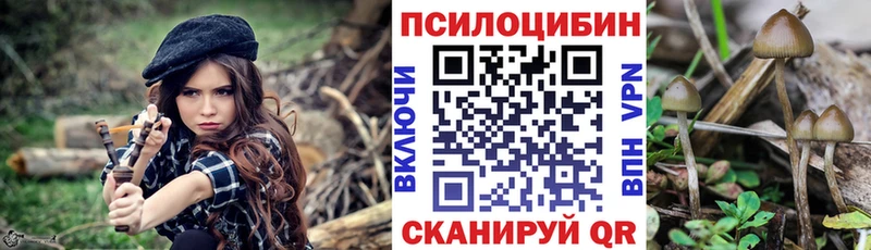 Купить где  Воскресенск  Галлюциногенные грибы мухоморы 